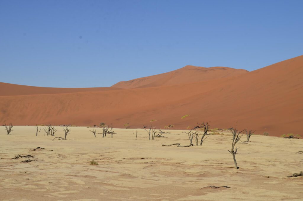 Sossusvlei