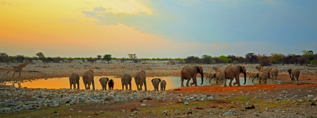 Parque Nacional Etosha