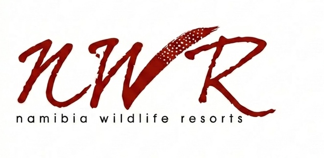 Generated Image February 18, 2026 - 8_56AM copy 2